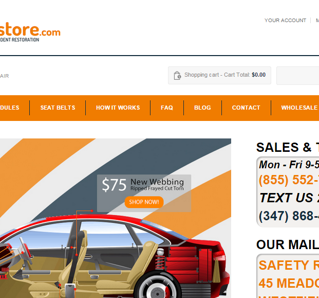 Safetyrestore.com